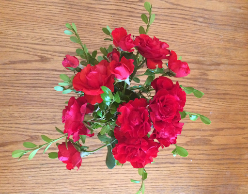 Red "Liberty" Roses