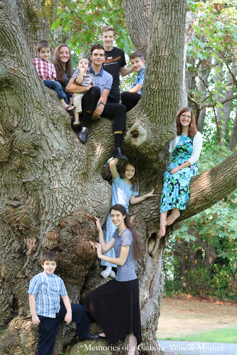 Children in Tree August 2018